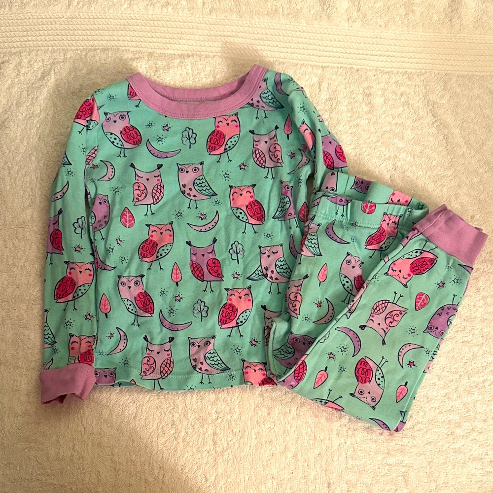 Owl Print Kids Pajamas - Green and Pink - 2T